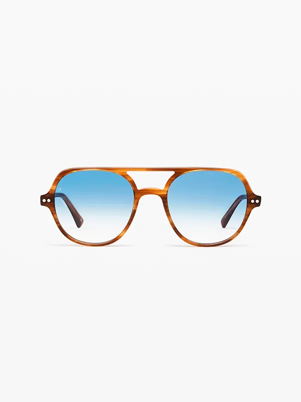 Lunettes de soleil en écaille à verres dégradés sur fond blanc